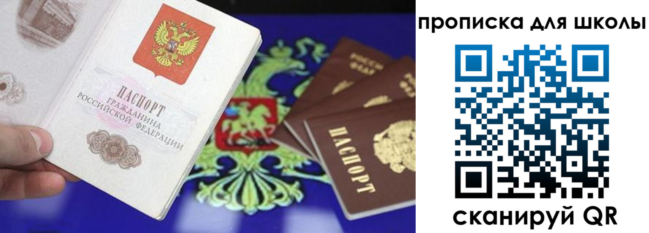 миграционный учет в Ельне